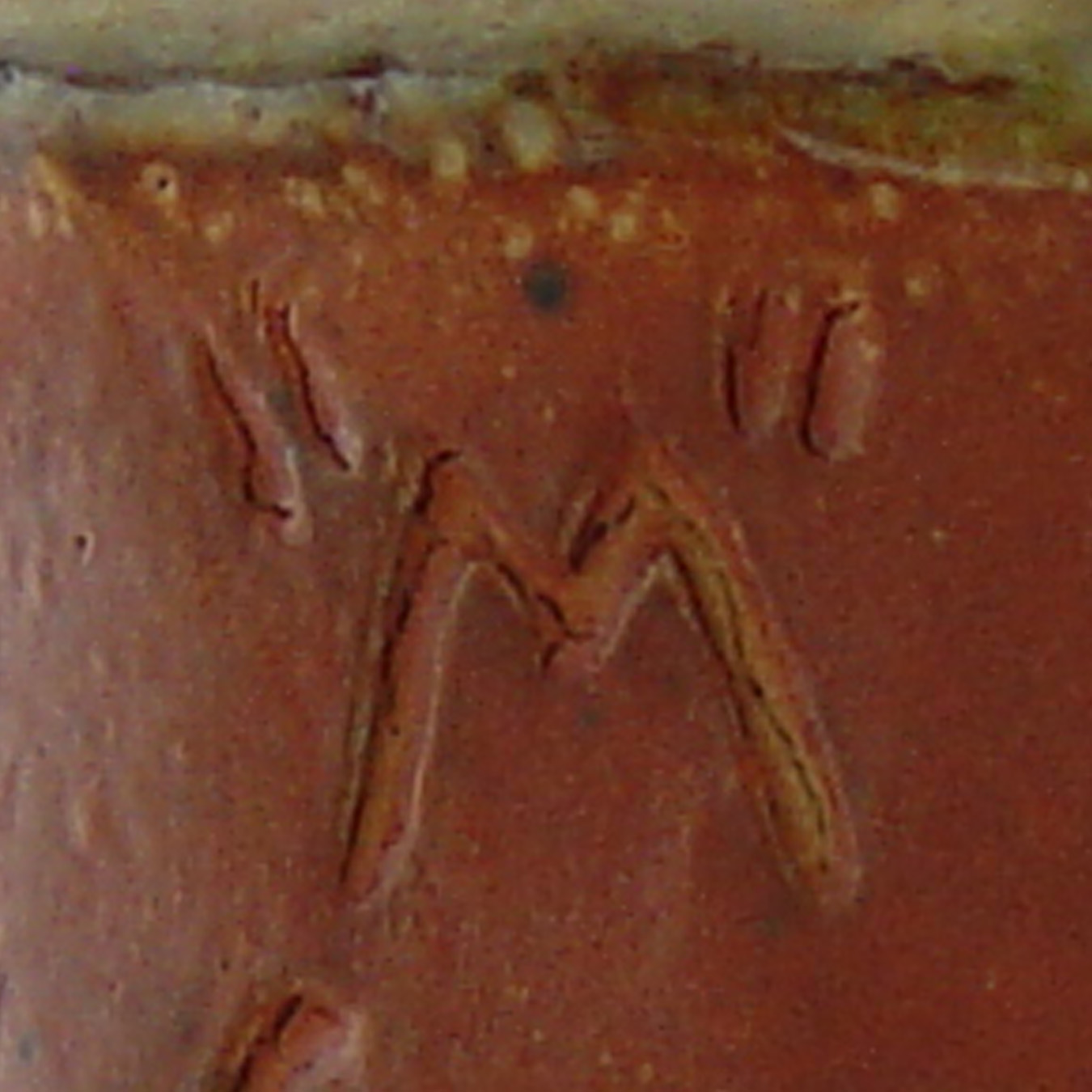 Nowabicha