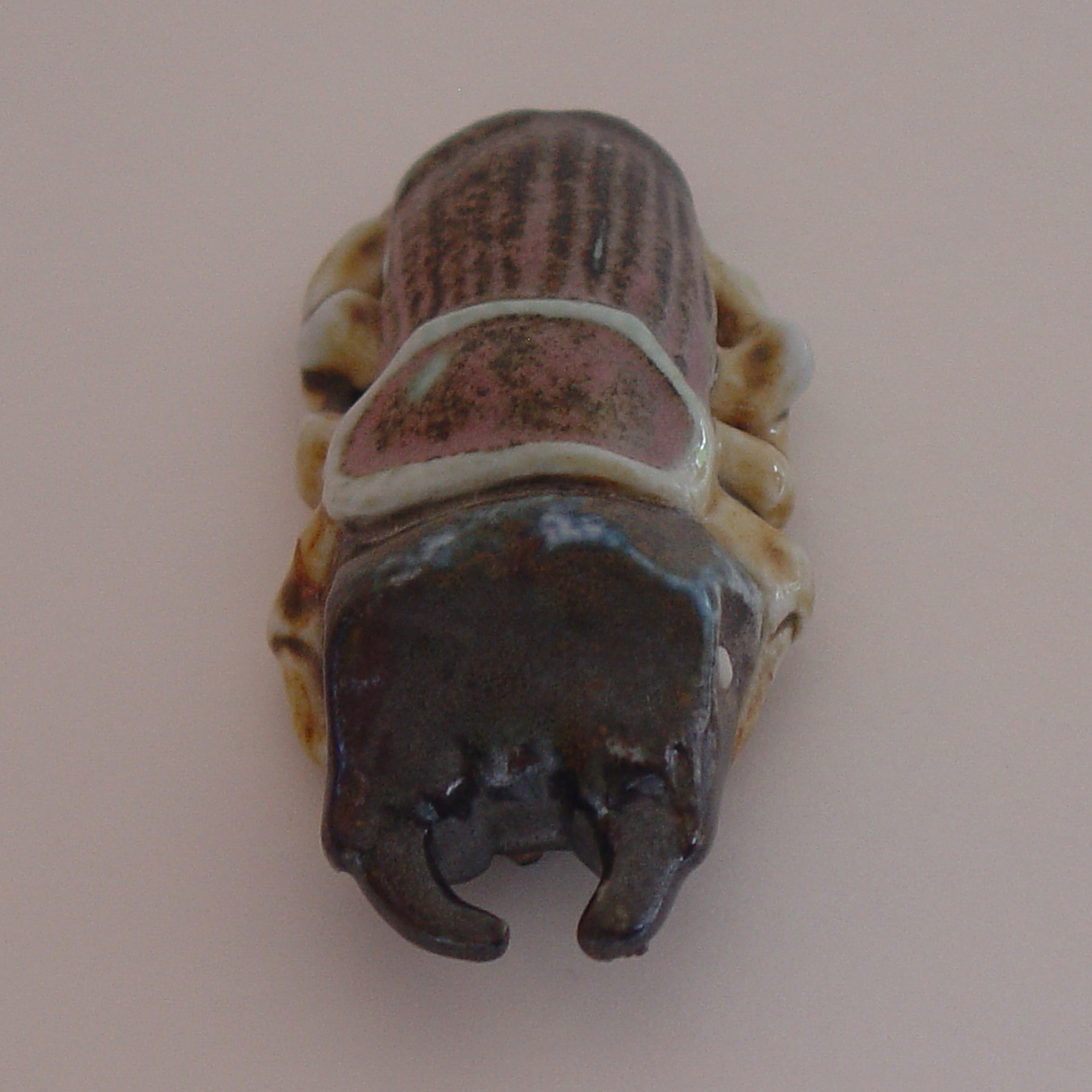 Stag Beetle