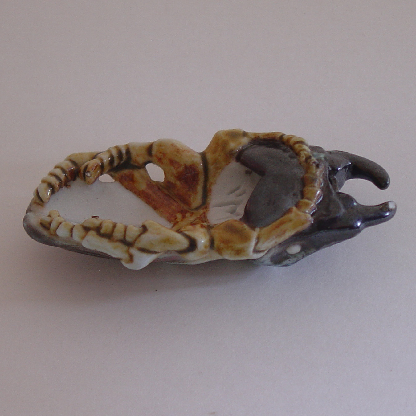 Stag Beetle