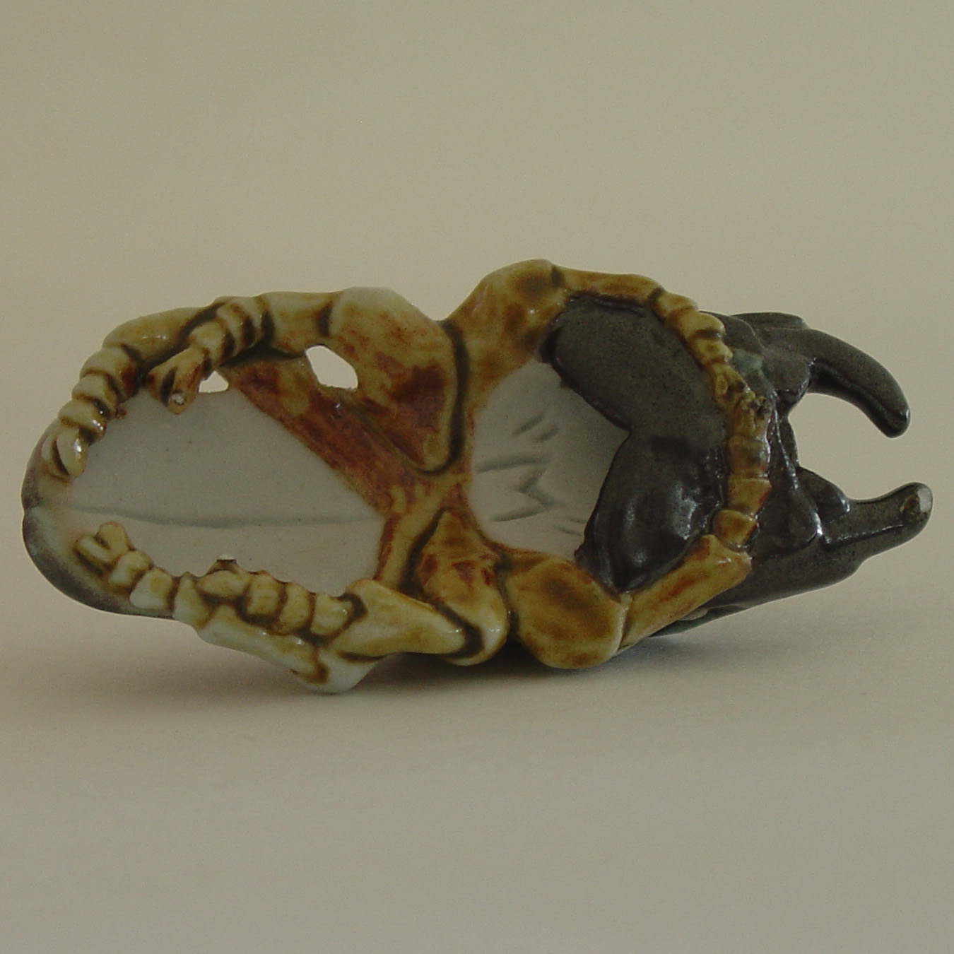 Stag Beetle