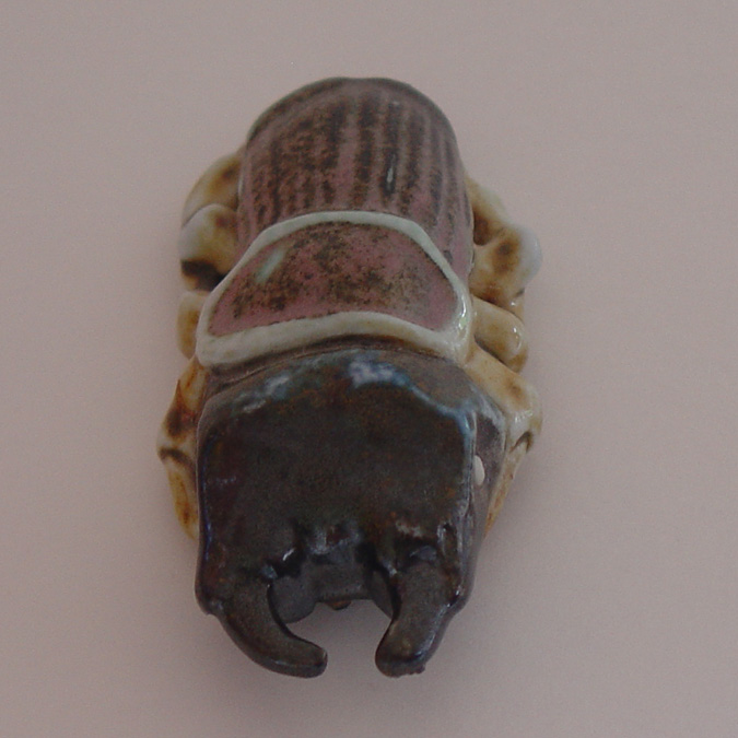 Stag Beetle