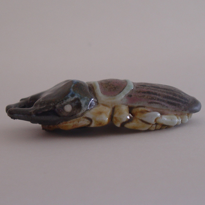 Stag Beetle