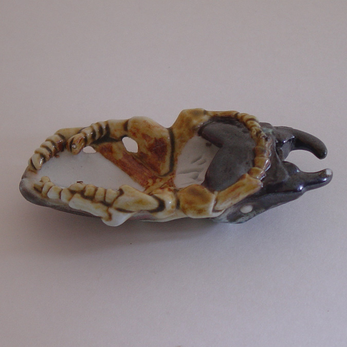 Stag Beetle