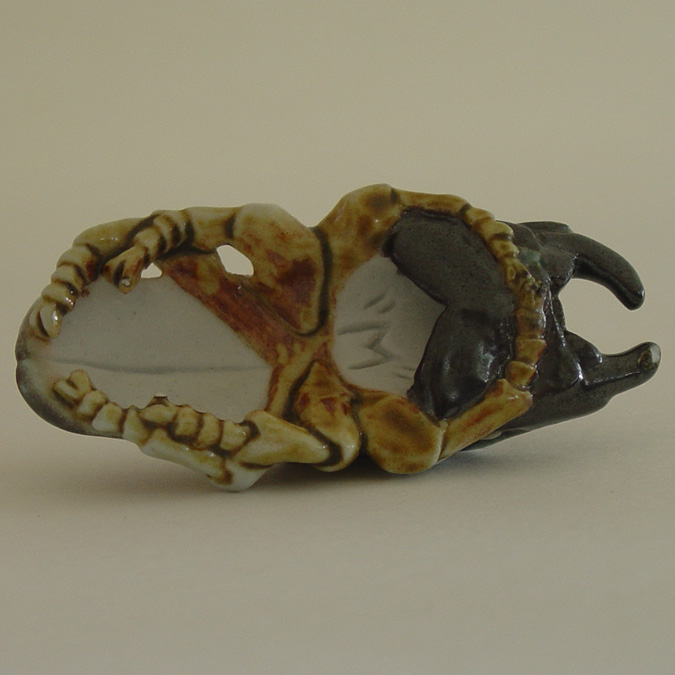 Stag Beetle